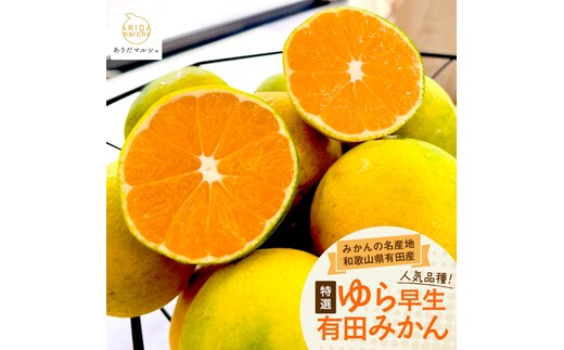 【先行予約】特撰 ゆら早生有田みかん 3.2kg(3kg+200g(傷み補償分))