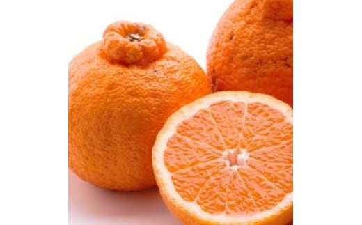 ＜2月より発送＞厳選 不知火2.5kg+250g（傷み補償分）◇【デコポンと同品種・人気の春みかん】 ※2026年2月上旬～3月下旬頃に順次発送予定 ※北海道・沖縄・離島への配送不可