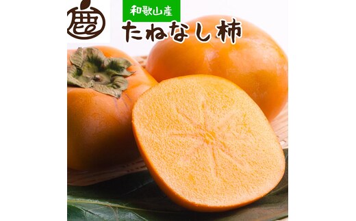 ＜10月より発送＞厳選たねなし柿5kg【刀根早生・平核無柿（ひらたねなしかき）】｜カキ・種無柿・種無し柿・種なし柿・無核柿