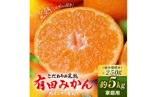 ＼光センサー選別／こだわりの完熟有田みかん 5kg＋250g(傷み補償分)【ご家庭用】サイズ混合 有機質肥料100% ｜ みかん 有田みかん 温州みかん ミカン 温州ミカン 柑橘 温州 甘い コク 産地直送◇※2025年11月中旬～2026年1月上旬頃に順次発送予定 ※北海道・沖縄・離島への配送不可