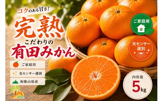 ＼光センサー選別／こだわりの完熟有田みかん 5kg＋150g(傷み補償分)【ご家庭用】サイズ混合 有機質肥料100% ｜ みかん 有田みかん 温州みかん ミカン 温州ミカン 柑橘 温州 甘い コク 産地直送