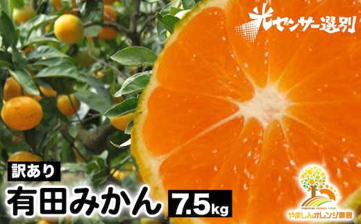 【訳あり】有田みかん 7.5kg | 農家直送 訳あり ご家庭用 サイズ混合 光センサー選別 温州みかん みかん 訳あり わけあり 家庭用 ※2025年11月中旬～12月下旬頃に順次発送予定 ※北海道・沖縄・離島への配送不可