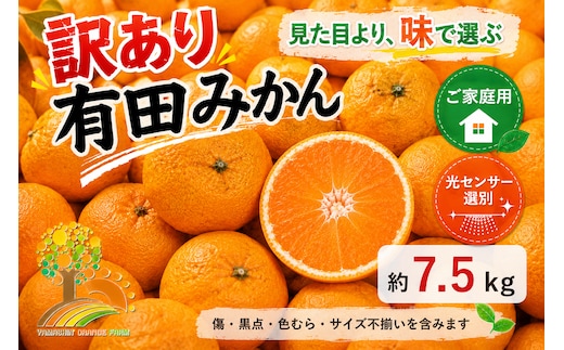 【訳あり】有田みかん 7.5kg | 農家直送 訳あり ご家庭用 サイズ混合 光センサー選別 温州みかん みかん 訳あり わけあり 家庭用