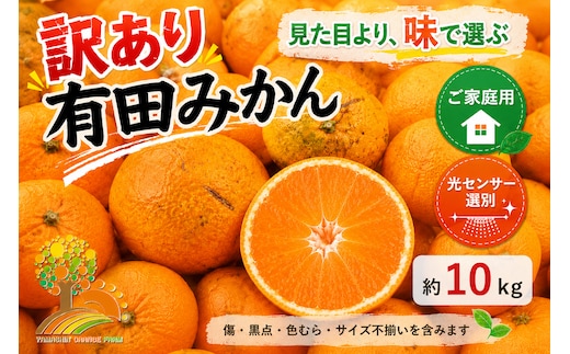 【訳あり】有田みかん 10kg | 農家直送 訳あり ご家庭用 サイズ混合 光センサー選別 温州みかん みかん 訳あり わけあり 家庭用