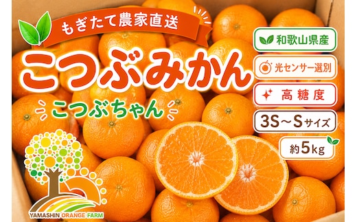 ちっちゃな 有田みかん こつぶみかん 5kg （3S～2Sサイズ混合）| 小粒 光センサー選別 温州みかん みかん 柑橘 果物 くだもの フルーツ