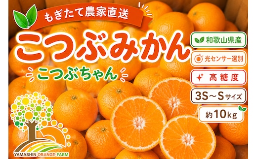 ちっちゃな 有田みかん こつぶみかん10kg （3S～2Sサイズ混合）| 小粒 光センサー選別 温州みかん みかん 柑橘 果物 くだもの フルーツ