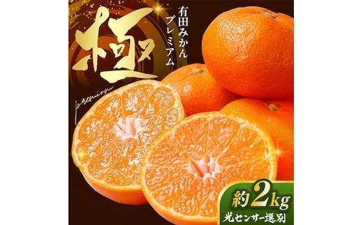 ＼光センサー選別／極 有田みかんプレミアム 約2kg【光センサー 高糖度選別品】2S～Mの小玉サイズ 有機質肥料100% | 光センサー選別 温州みかん みかん 高糖度 柑橘 果物 フルーツ 甘い◇※2025年11月下旬～2026年1月上旬頃に順次発送予定 ※北海道・沖縄・離島への配送不可