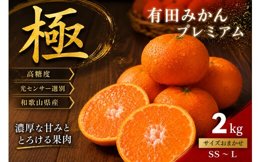 ＼光センサー選別／極 有田みかんプレミアム 約2kg【光センサー 高糖度選別品】2S～Lの小玉サイズ 有機質肥料100% | 光センサー選別 温州みかん みかん 高糖度 柑橘 果物 フルーツ 甘い◇