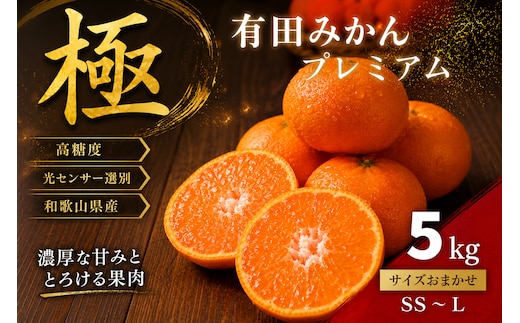＼光センサー選別／極 有田みかんプレミアム 約5kg【光センサー 高糖度選別品】2S～Lの小玉サイズ 有機質肥料100% | 光センサー選別 温州みかん みかん 高糖度 柑橘 果物 フルーツ 甘い◇