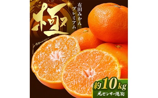 ＼光センサー選別／極 有田みかんプレミアム 約10kg【光センサー 高糖度選別品】2S～Lの小玉サイズ 有機質肥料100% | 光センサー選別 温州みかん みかん 高糖度 柑橘 果物 フルーツ 甘い◇