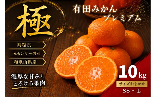 ＼光センサー選別／極 有田みかんプレミアム 約10kg【光センサー 高糖度選別品】2S～Lの小玉サイズ 有機質肥料100% | 光センサー選別 温州みかん みかん 高糖度 柑橘 果物 フルーツ 甘い◇