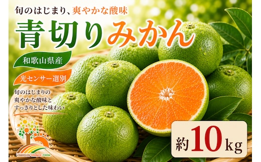 【先行予約】こだわりの青切りみかん 約10kg 農家直送 有機質肥料 100% サイズ混合 ｜ みかん 柑橘 果物 くだもの 果実 フルーツ 和歌山 有田