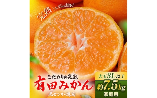 有田みかん 約7.5kg 大玉3L以上 有機質肥料100% ＼光センサー選別／ 農家直送 ※北海道・沖縄・離島への配送不可◇※2025年11月中旬～2026年1月上旬頃に順次発送予定