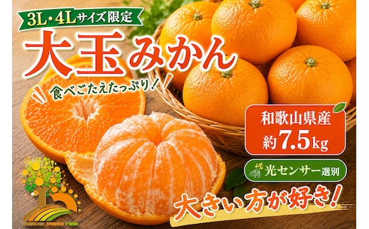 有田みかん 約7.5kg 大玉3L以上 有機質肥料100% ＼光センサー選別／ 農家直送 
