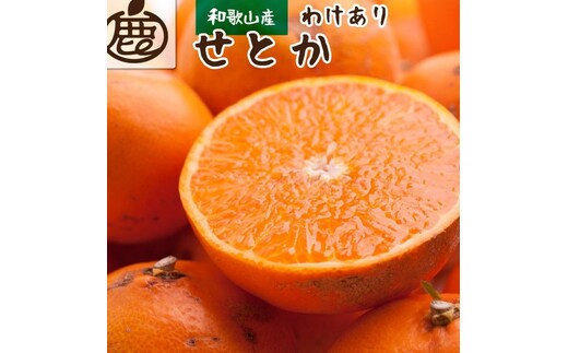 ＜2月より発送＞家庭用 せとか5kg+250g（傷み補償分）【柑橘・春みかんの王様】【光センサー選果・食べ頃出荷】訳あり わけあり ワケアリ ◇ ※北海道・沖縄・離島への配送不可 ※2026年2月中旬～3月下旬頃に順次発送予定