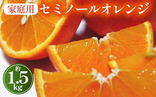 【先行予約】【春の美味】【農家直送】爽快カンキツ セミノールオレンジ（ご家庭用）1.5kg ｜ 柑橘 フルーツ 果物 くだもの 食品 人気 おすすめ 選べる 国産 美浜町