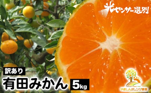【先行受付】【訳あり】有田みかん 5kg ｜ 農家直送 訳あり ご家庭用 サイズ混合 光センサー選別 温州みかん みかん 訳あり わけあり 家庭用 ※2025年11月中旬～12月下旬頃に順次発送予定※北海道・沖縄・離島への配送不可