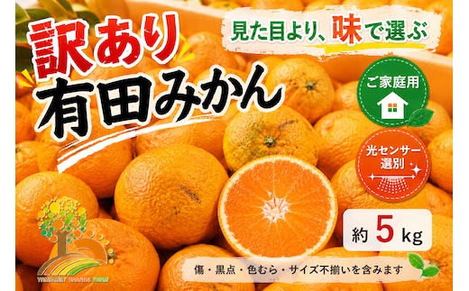 【先行受付】【訳あり】有田みかん 5kg ｜ 農家直送 訳あり ご家庭用 サイズ混合 光センサー選別 温州みかん みかん 訳あり わけあり 家庭用