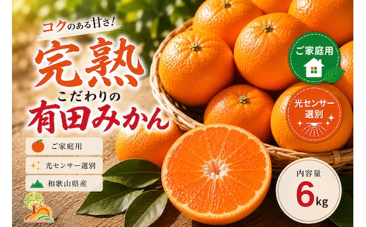 ＼光センサー選別／こだわりの完熟有田みかん 6kg＋150g(傷み補償分) 【ご家庭用】サイズ混合 ｜ふるさと納税 みかん 有機質肥料100%◇