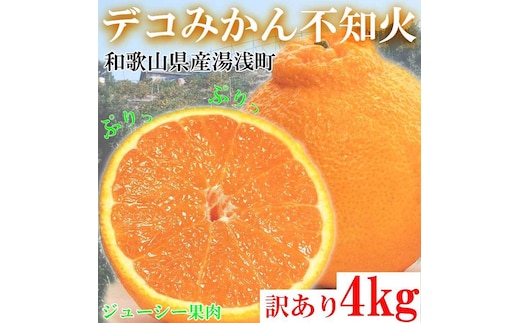 不知火（しらぬい） オレンジ みかん 家庭用 4kg ｜ 訳あり 和歌山みかん オレンジ フルーツ 果物 ※北海道・沖縄・離島への配送不可 ※2026年2月下旬～3月下旬頃に順次発送予定