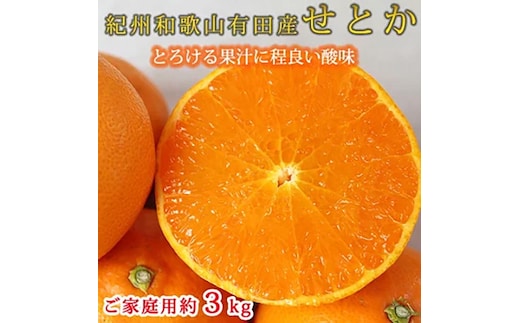 とろける食感!ジューシー柑橘 せとか 約3kg 【家庭用 訳あり】｜みかん ミカン 柑橘 果物 くだもの フルーツ せとか 甘い 先行予約 国産 産地直送 人気 美浜町