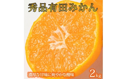 【先行予約】秀品 有田みかん 2kg 2S～Lサイズのいずれか◇｜ふるさと納税 みかん