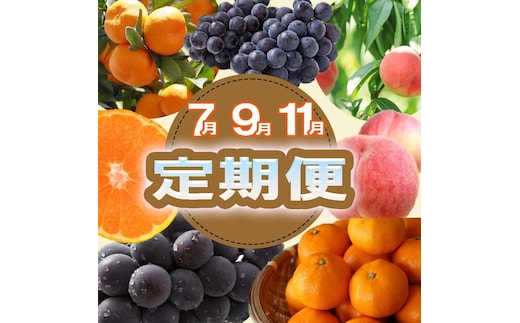 〈定期便〉【7・9・11月 全3回】産直・和歌山フルーツ（桃・ピオーネ・有田みかん）※北海道・沖縄・離島への配送不可