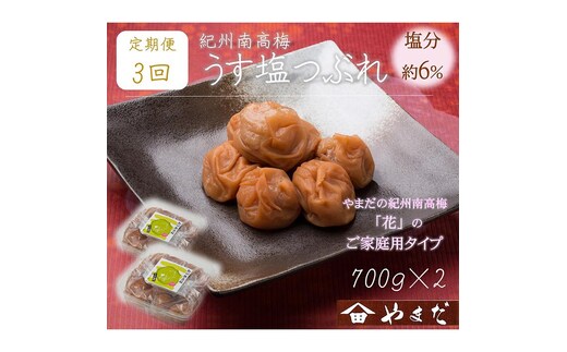 【定期便/3か月ごと/全3回】紀州南高梅うす塩つぶれ（塩分約6％）700g×2
