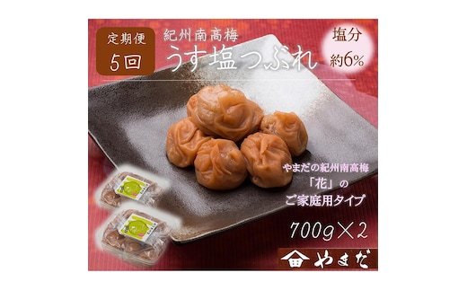 【定期便/2か月ごと/全5回】紀州南高梅うす塩つぶれ（塩分約6％）700g×2
