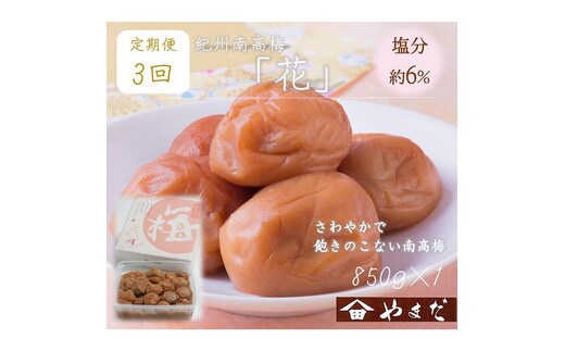 【定期便/3か月ごと/全3回】紀州南高梅「花」塩分約6％（850g）
