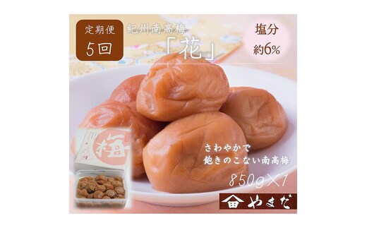 【定期便/2か月ごと/全5回】紀州南高梅「花」塩分約6％（850g）