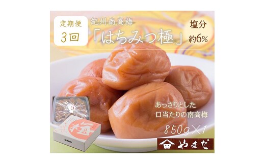 【定期便/3か月ごと/全3回】紀州南高梅はちみつ極塩分約6％（850g）