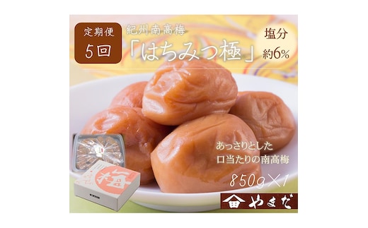 【定期便/2か月ごと/全5回】紀州南高梅はちみつ極塩分約6％（850g）
