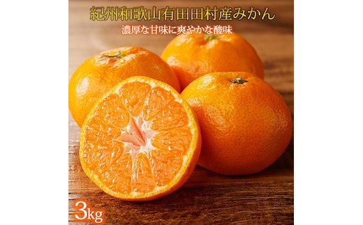高級ブランド 秀品 紀州有田田村産みかん 3kg ※2025年12月上旬～2026年1月下旬頃に順次発送予定