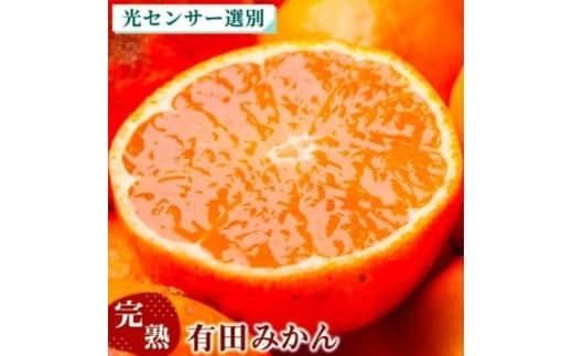 〈11月より発送〉完熟 プレミアム有田みかん 1kg+250g（傷み補償分） ｜ 柑橘 果物 フルーツ 糖度 甘い 濃厚 コク ジューシー 光センサー ※北海道・沖縄・離島への配送不可 ※2025年11月上旬～2026年1月下旬頃に順次発送予定