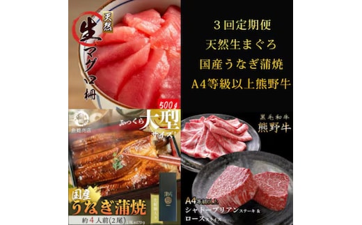 〈毎月定期便〉紀州和歌山うまいもんセットA(生まぐろ・うなぎ蒲焼・熊野牛)全3回 ※離島への配送不可