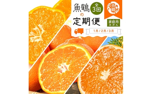 〈定期便〉【1・2・3月 全3回】紀州和歌山産旬のご家庭用柑橘セット(みかん・不知火・清見) ※離島への配送不可