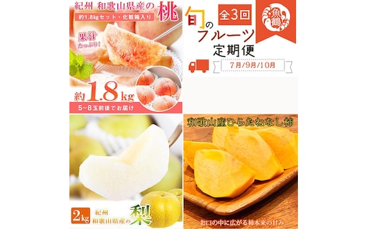 〈定期便〉【7・9・10月 全3回】紀州和歌山産旬のフルーツセット(桃・梨・ひらたねなし柿) ※離島への配送不可