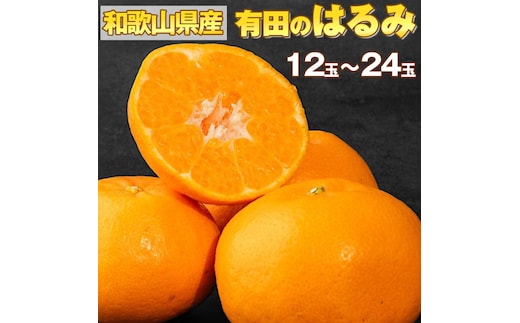 【産地直送】和歌山県産 有田のはるみ 12玉～24玉 ※2026年1月中旬～2月下旬頃に順次発送予定