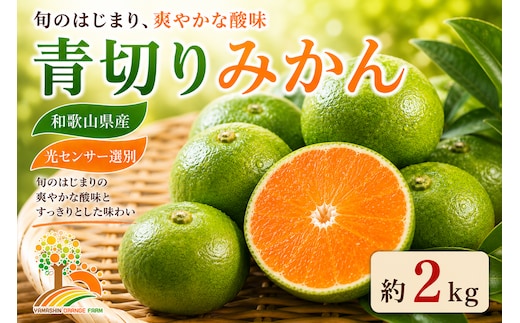 【先行予約】こだわりの青切りみかん 約2kg 農家直送 有機質肥料 100% サイズ混合 ｜ みかん 柑橘 果物 くだもの 果実 フルーツ 和歌山 有田