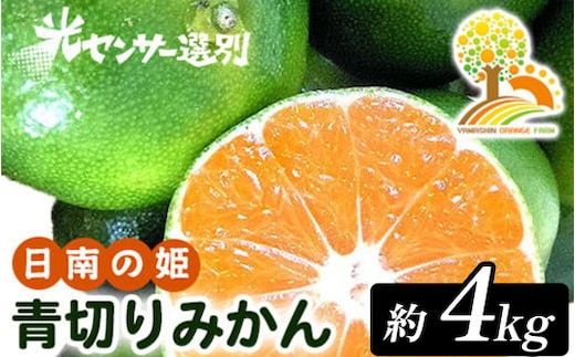 【先行予約】こだわりの青切りみかん 約4kg 農家直送 有機質肥料 100% サイズ混合 ｜ みかん 柑橘 果物 くだもの 果実 フルーツ 和歌山 有田