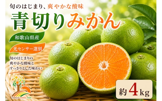 【先行予約】こだわりの青切りみかん 約4kg 農家直送 有機質肥料 100% サイズ混合 ｜ みかん 柑橘 果物 くだもの 果実 フルーツ 和歌山 有田