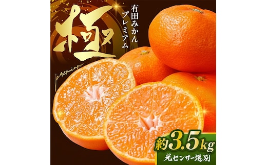 ＼光センサー選別／極 有田みかんプレミアム 約3.5kg【光センサー 高糖度選別品】2S～Lの小玉サイズ 有機質肥料100% | 光センサー選別 温州みかん みかん 高糖度 柑橘 果物 フルーツ 甘い◇