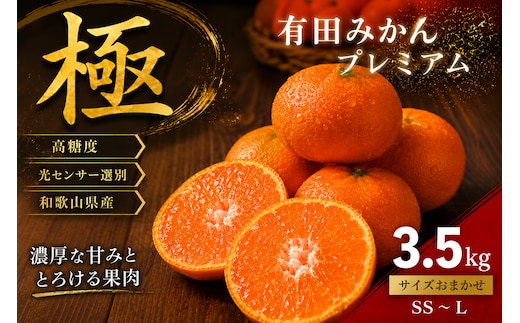 ＼光センサー選別／極 有田みかんプレミアム 約3.5kg【光センサー 高糖度選別品】2S～Lの小玉サイズ 有機質肥料100% | 光センサー選別 温州みかん みかん 高糖度 柑橘 果物 フルーツ 甘い◇