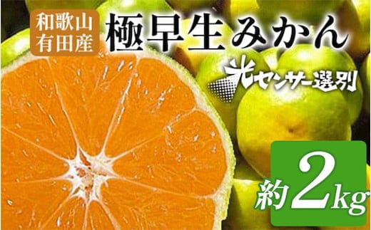 【先行予約】こだわりの極早生みかん 約2kg 農家直送 有機質肥料100% サイズ混合 ｜ みかん 極早生 早生 柑橘 果物 くだもの 果実 フルーツ 和歌山 有田