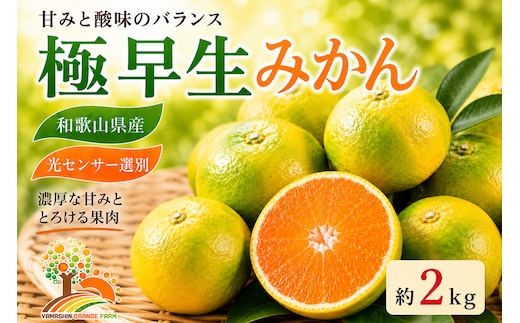 【先行予約】こだわりの極早生みかん 約2kg 農家直送 有機質肥料100% サイズ混合 ｜ みかん 極早生 早生 柑橘 果物 くだもの 果実 フルーツ 和歌山 有田