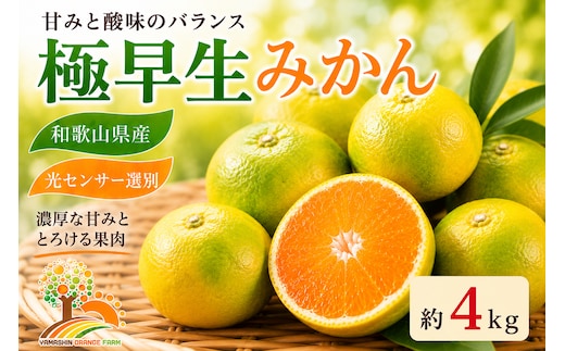 【先行予約】こだわりの極早生みかん 約4kg 農家直送 有機質肥料100% サイズ混合 ｜ みかん 極早生 早生 柑橘 果物 くだもの 果実 フルーツ 和歌山 有田