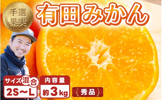 【まごころ手選別】和歌山産 有田みかん 3kg 1箱 (2S～Lサイズ混合) ※2025年11月上旬～2026年1月下旬頃に順次発送予定