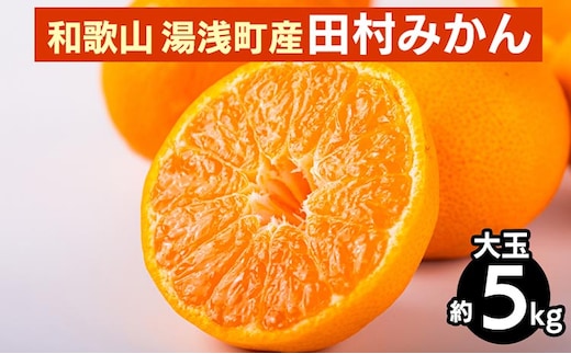 【先行予約】 田村みかん 約5kg 【大玉】 和歌山県 湯浅町 田村地区産