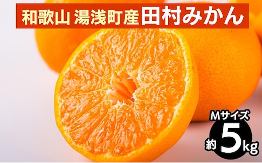 【先行予約】 田村みかん 約5kg 【Mサイズ】 和歌山県 湯浅町 田村地区産